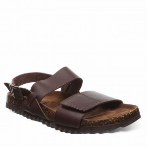 Bearpaw Alma II サンダル レディース ブラウン | CCD22100QR