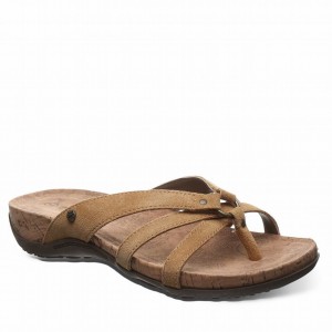 Bearpaw Fawn サンダル レディース ブラウン | LLZ3256YG