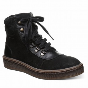 Bearpaw Nelida ハイカットスニーカー レディース 黒 | SIY192LX