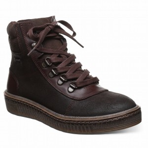 Bearpaw Nelida ハイカットスニーカー レディース ブラウン | XXX251WI