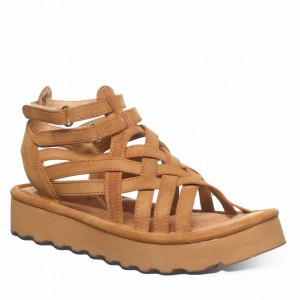 Bearpaw Prominence サンダル レディース ブラウン | RJY9463AI