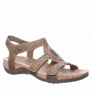 Bearpaw Ridley Wide サンダル レディース ブラウン | HGB3422LG