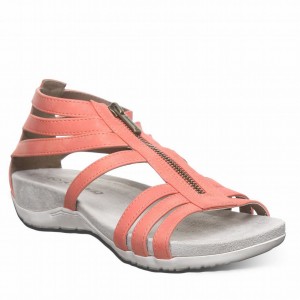Bearpaw Ronda サンダル レディース ピンク | FXM9738HR