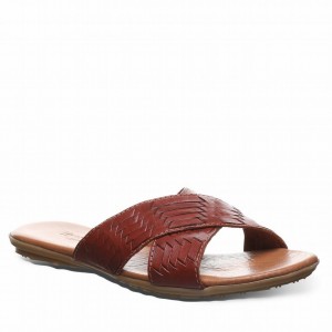 Bearpaw Ximena サンダル レディース ブラウン | DIH3874PQ