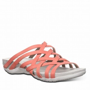 Bearpaw Zinnia サンダル レディース ピンク | UME8594BN