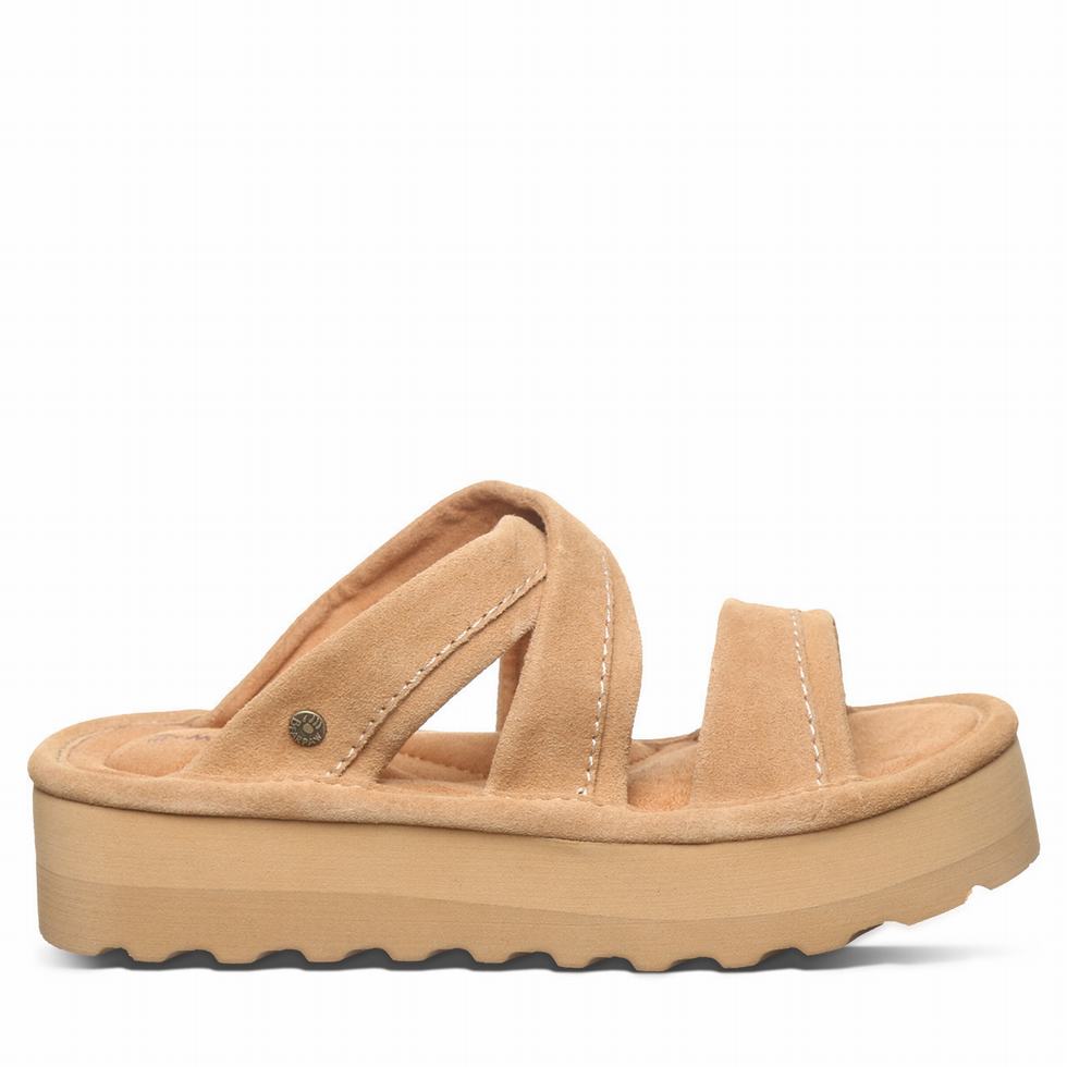 Bearpaw Altitude サンダル レディース ブラウン | ZGF5585CT