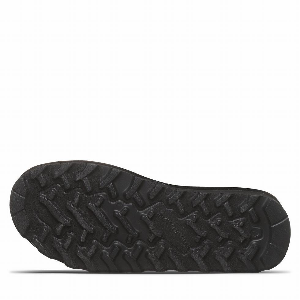 Bearpaw Alyssa Vegan ブーツ レディース 黒 | ZHP113JB