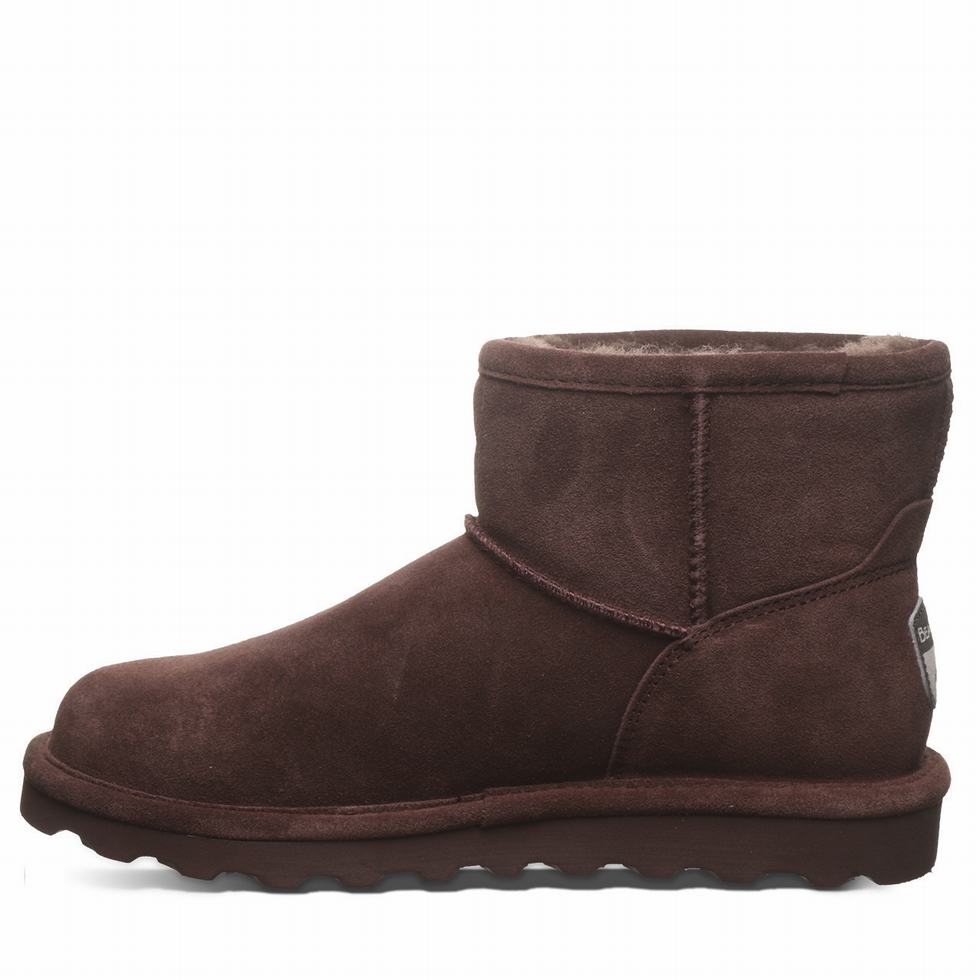 Bearpaw Alyssa ブーティ レディース ブラウン | PHW268YU