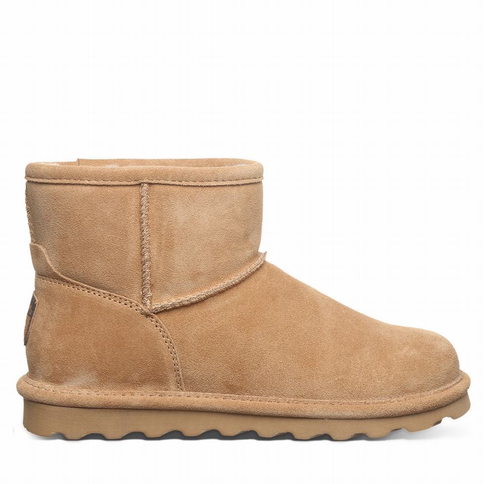 Bearpaw Alyssa ブーティ レディース ブラウン | TEI5886EZ