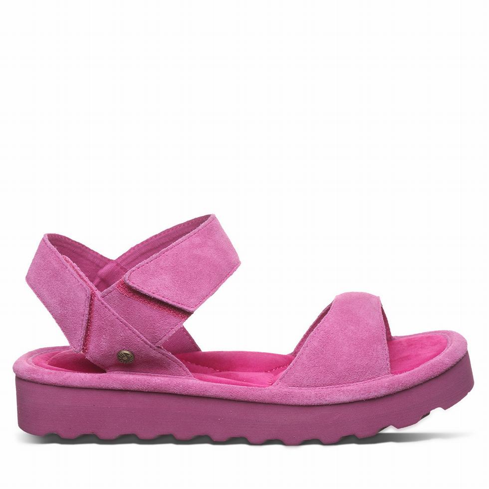 Bearpaw Crest サンダル レディース 紫 | DPI772UA