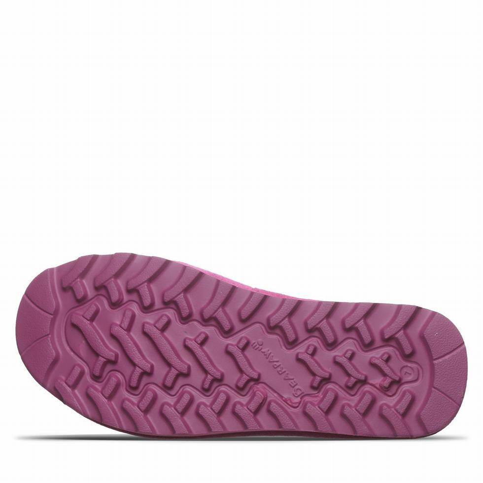 Bearpaw Crest サンダル レディース 紫 | DPI772UA