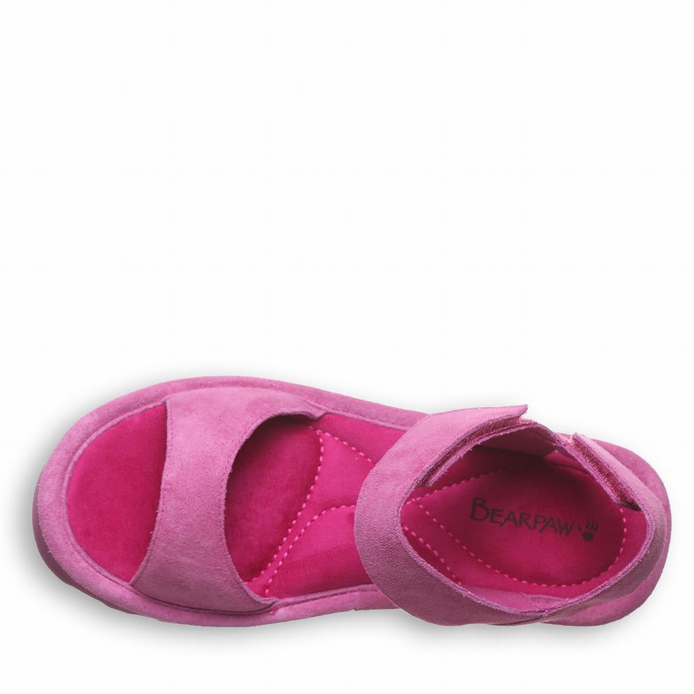 Bearpaw Crest サンダル レディース 紫 | DPI772UA