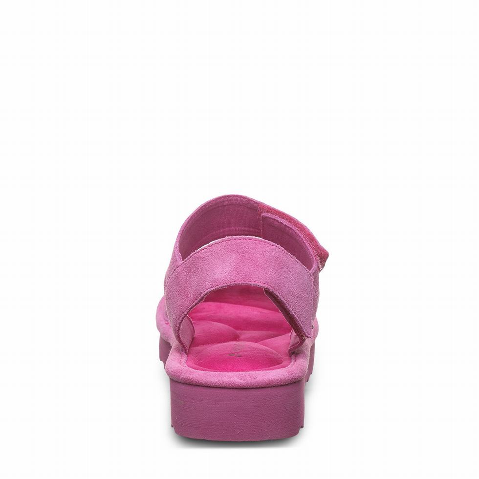 Bearpaw Crest サンダル レディース 紫 | DPI772UA
