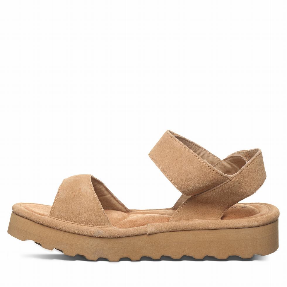 Bearpaw Crest サンダル レディース ブラウン | DVZ4576FR