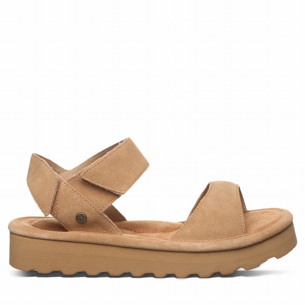 Bearpaw Crest サンダル レディース ブラウン | DVZ4576FR