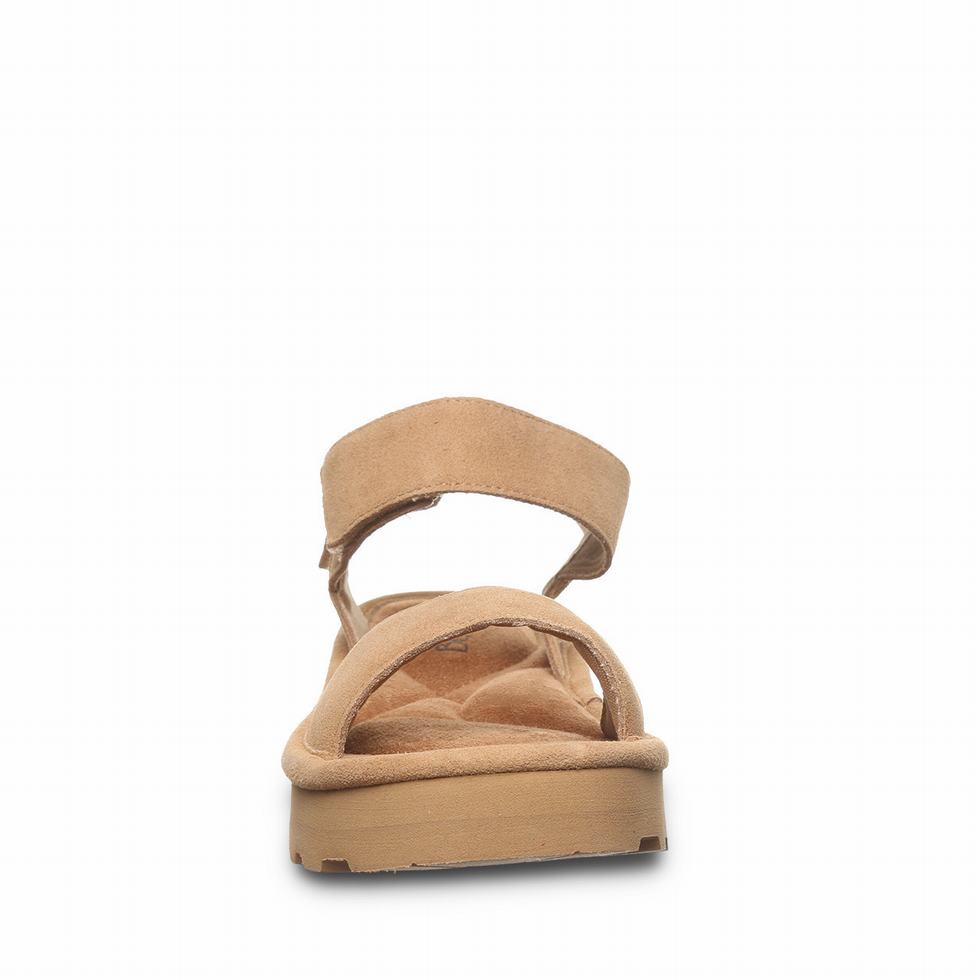 Bearpaw Crest サンダル レディース ブラウン | DVZ4576FR