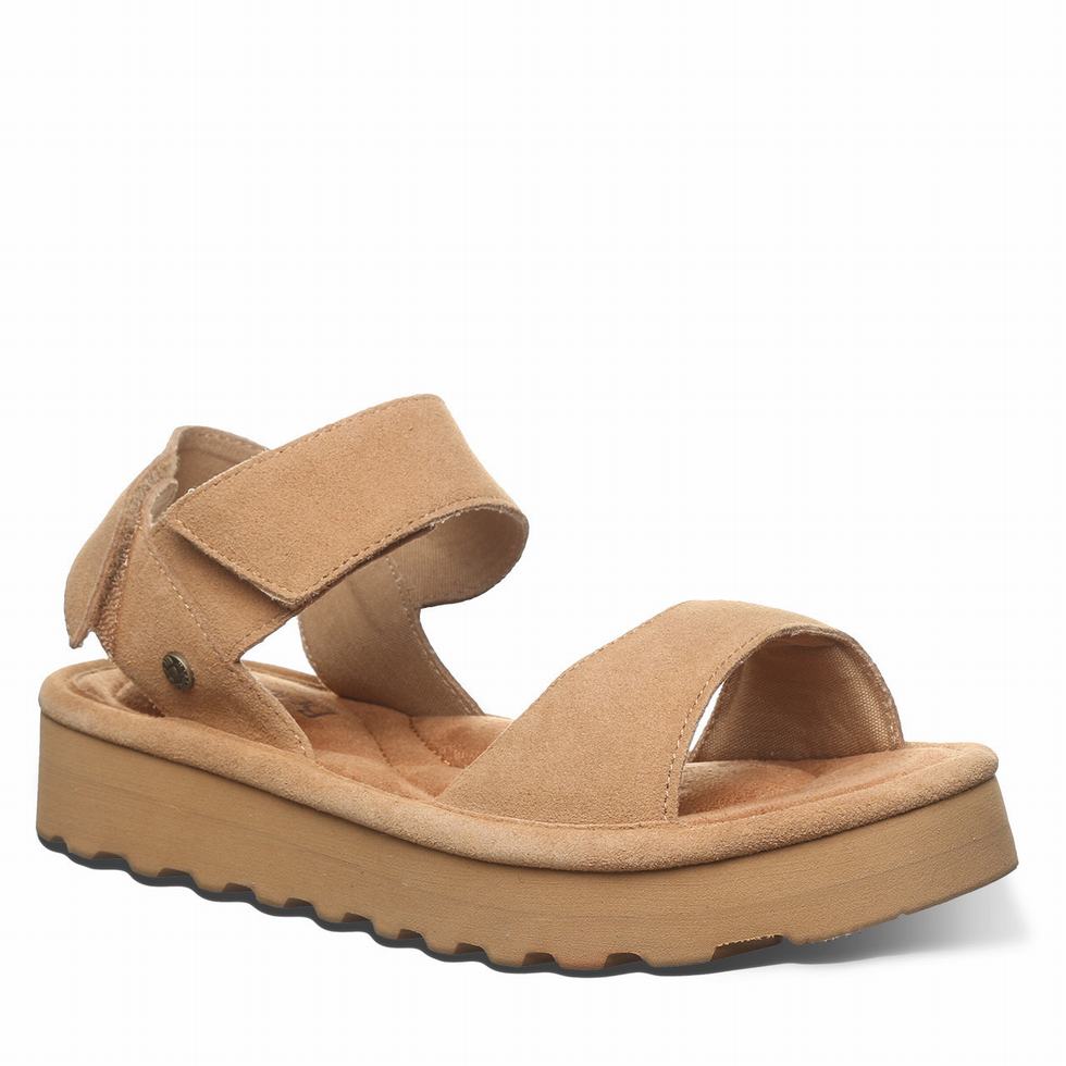 Bearpaw Crest サンダル レディース ブラウン | DVZ4576FR