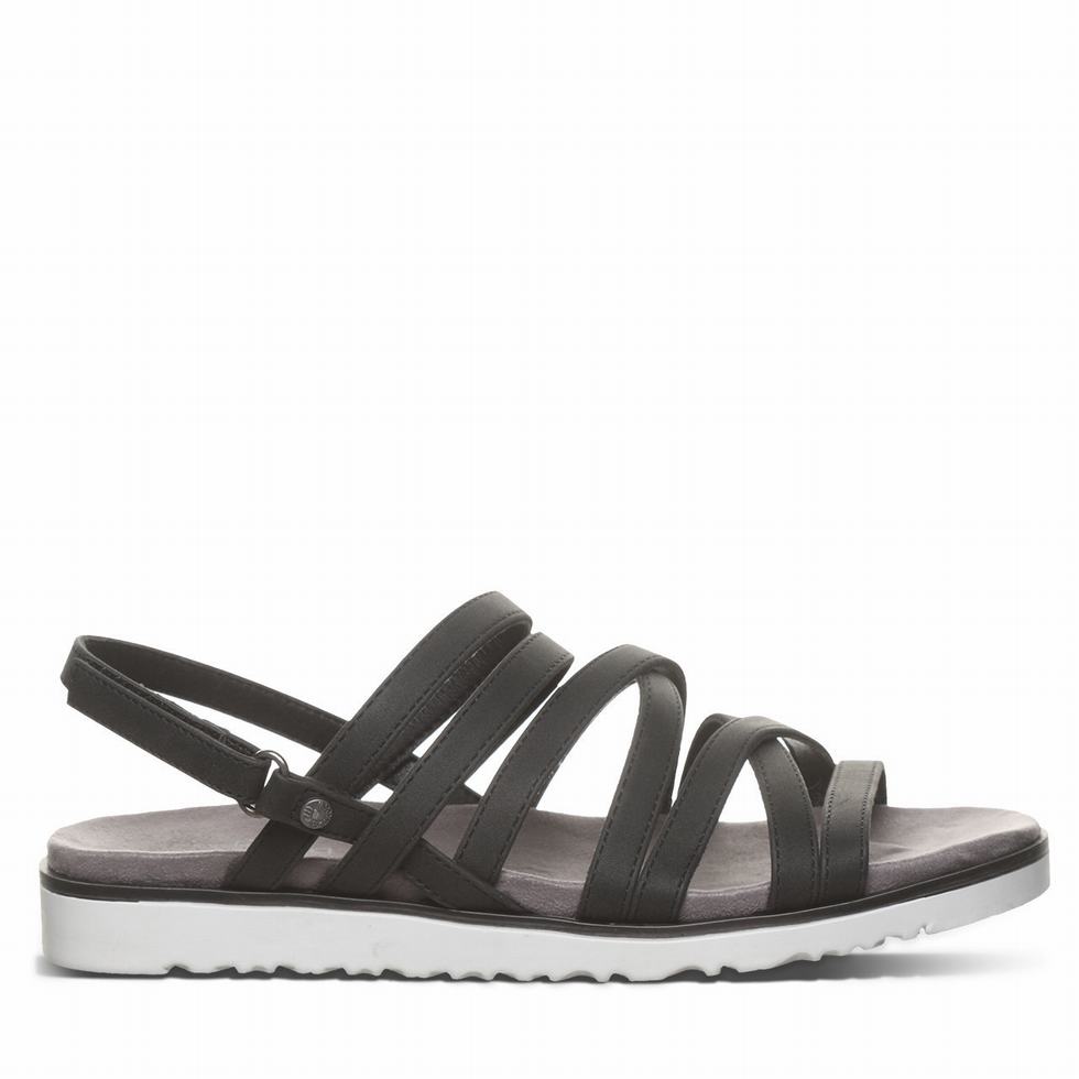 Bearpaw Crete サンダル レディース 黒 | XUS6228YY