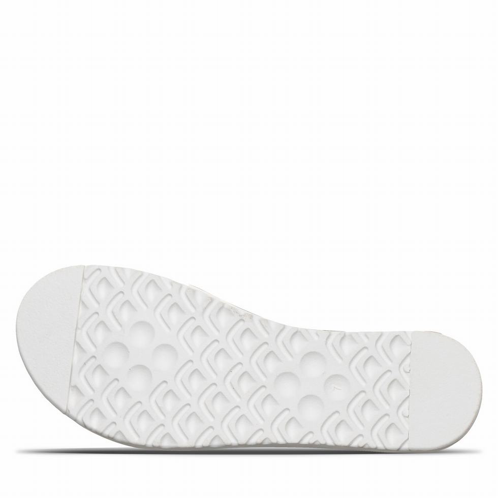 Bearpaw Crete サンダル レディース 黒 | XUS6228YY