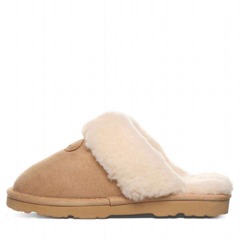 Bearpaw Effie Vegan スリッパ レディース ブラウン | CDM6549BM