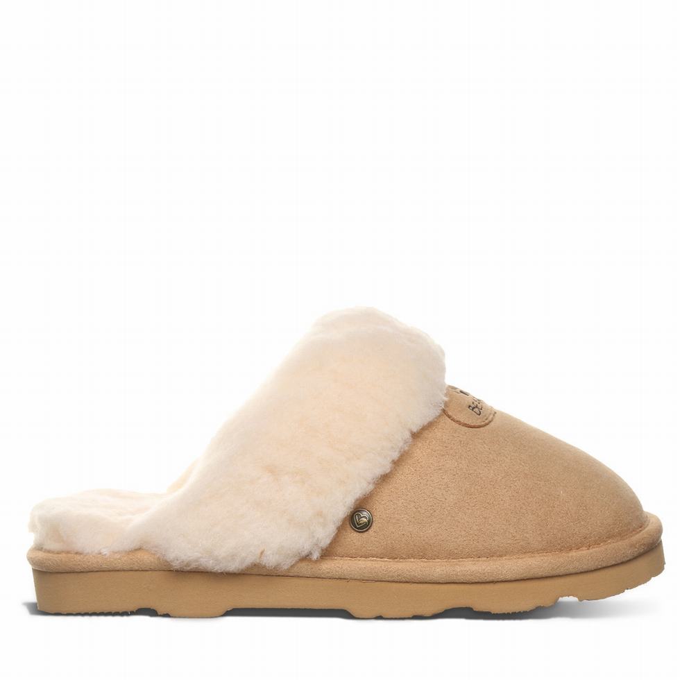 Bearpaw Effie Vegan スリッパ レディース ブラウン | CDM6549BM