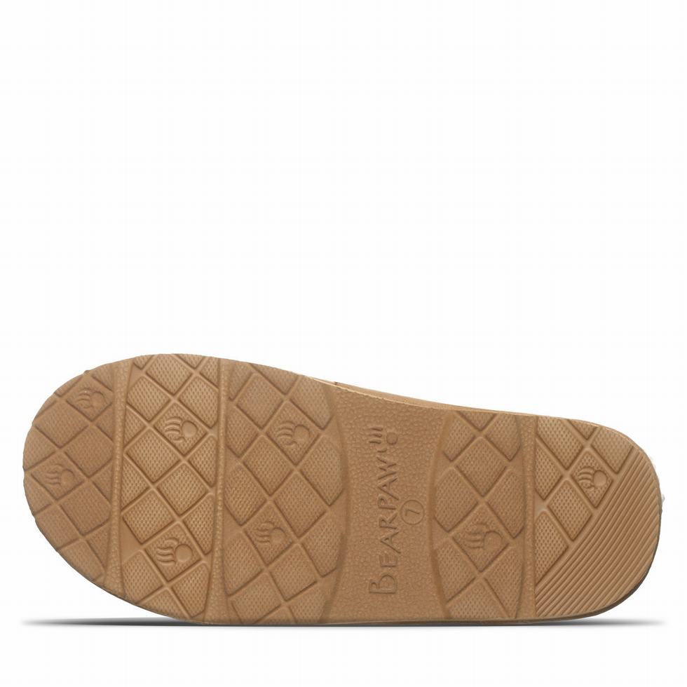 Bearpaw Effie Vegan スリッパ レディース ブラウン | CDM6549BM