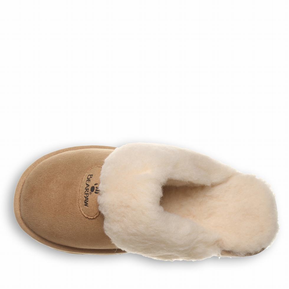 Bearpaw Effie Vegan スリッパ レディース ブラウン | CDM6549BM