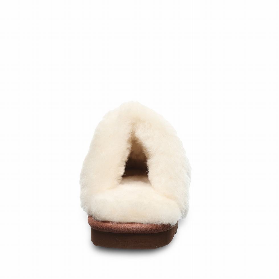 Bearpaw Effie スリッパ レディース ブラウン | PKA4387QH