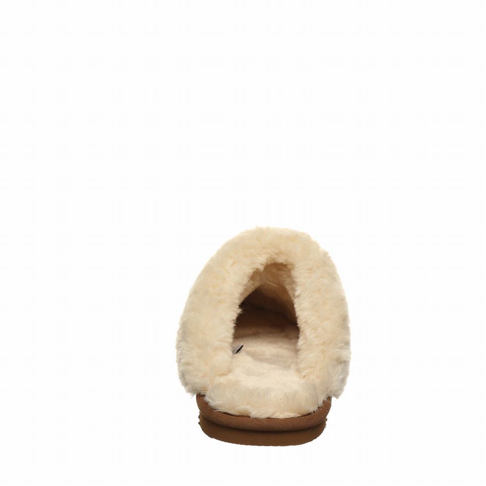 Bearpaw Loki Vegan スリッパ レディース ブラウン | BJL934HC