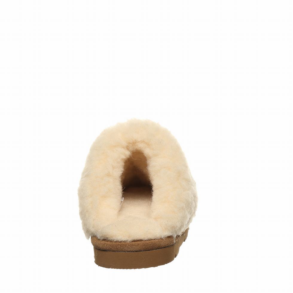 Bearpaw Loki Youth スリッパ キッズ ブラウン | JHA6226FY