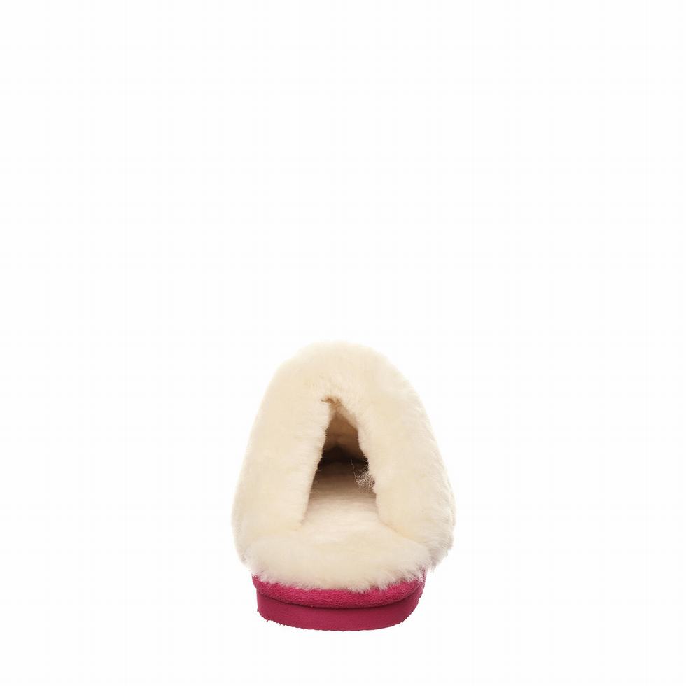 Bearpaw Loki スリッパ レディース ピンク | OLB6963TM