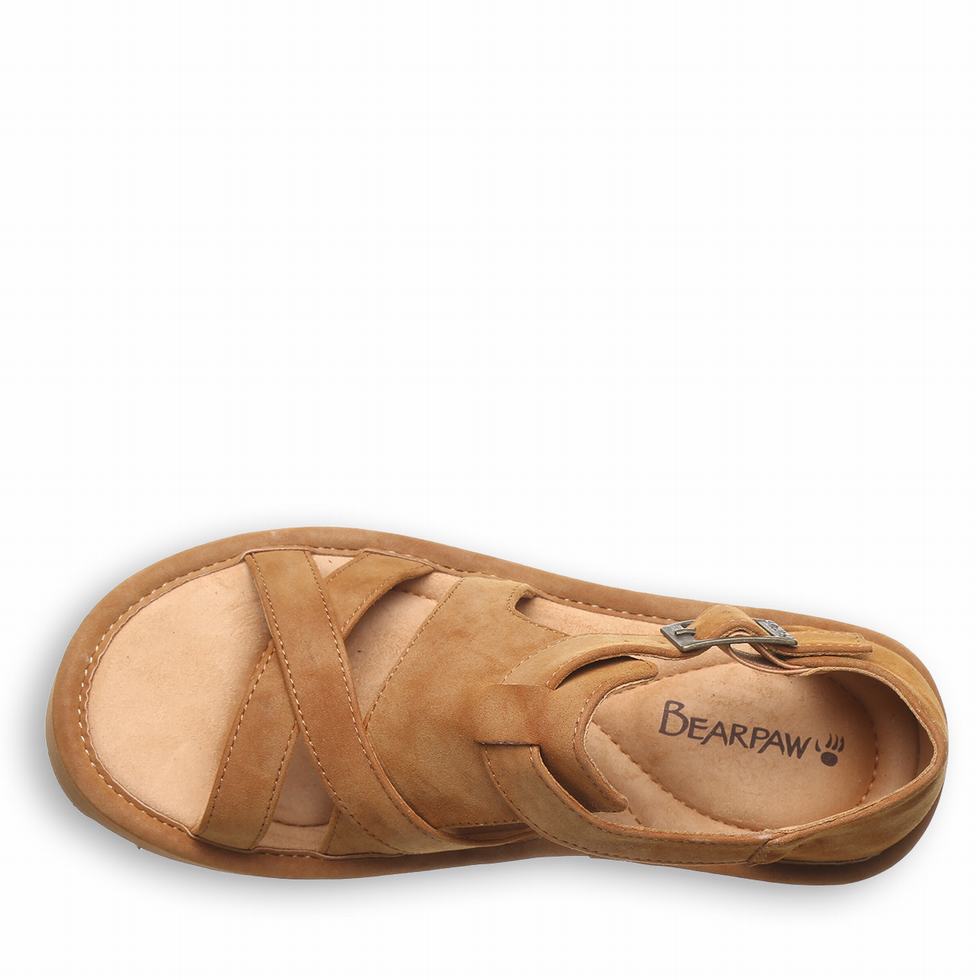 Bearpaw Pinnacle サンダル レディース ブラウン | CUP8583FB
