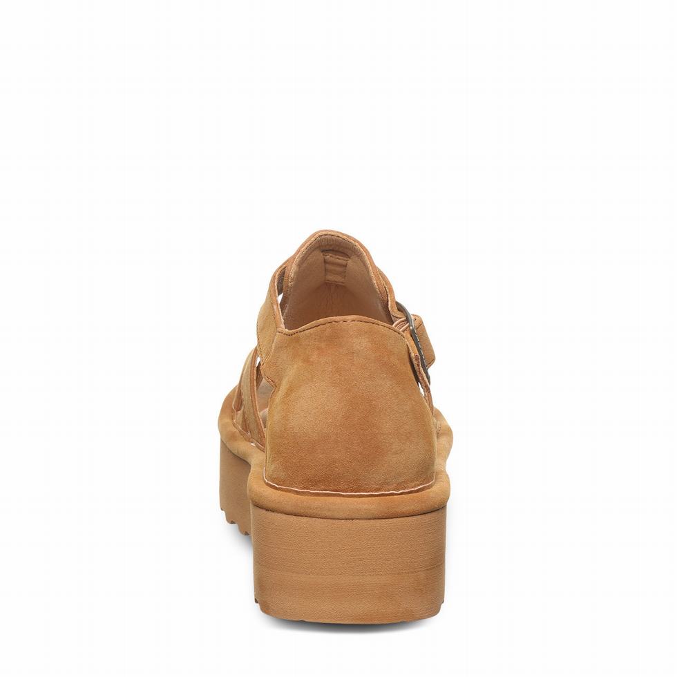 Bearpaw Pinnacle サンダル レディース ブラウン | CUP8583FB