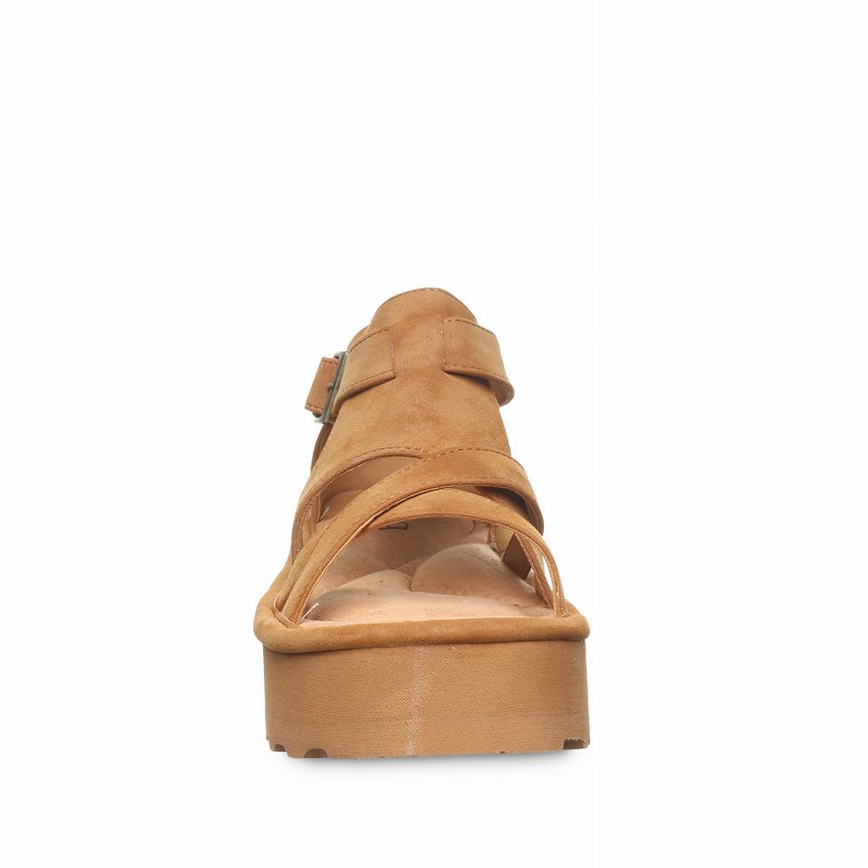Bearpaw Pinnacle サンダル レディース ブラウン | CUP8583FB