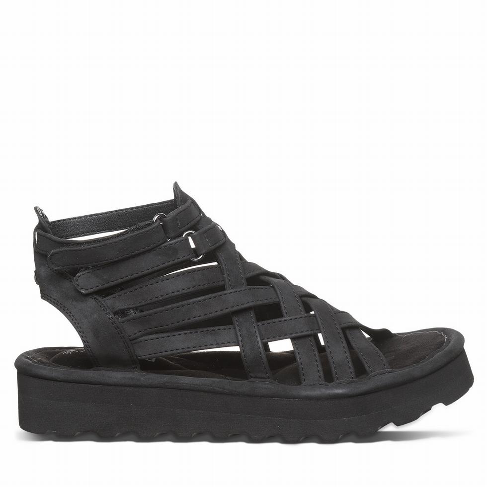 Bearpaw Prominence サンダル レディース 黒 | DMB6348WU