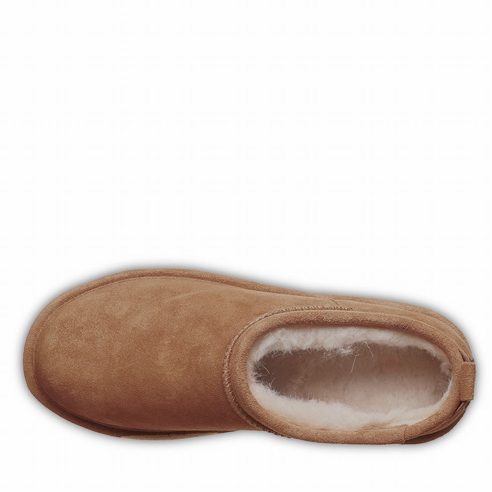 Bearpaw Retro Super Shorty 厚底ブーツ レディース ブラウン | RUJ9782GR
