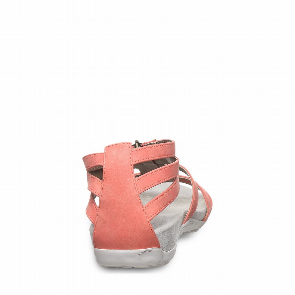 Bearpaw Ronda サンダル レディース ピンク | FXM9738HR