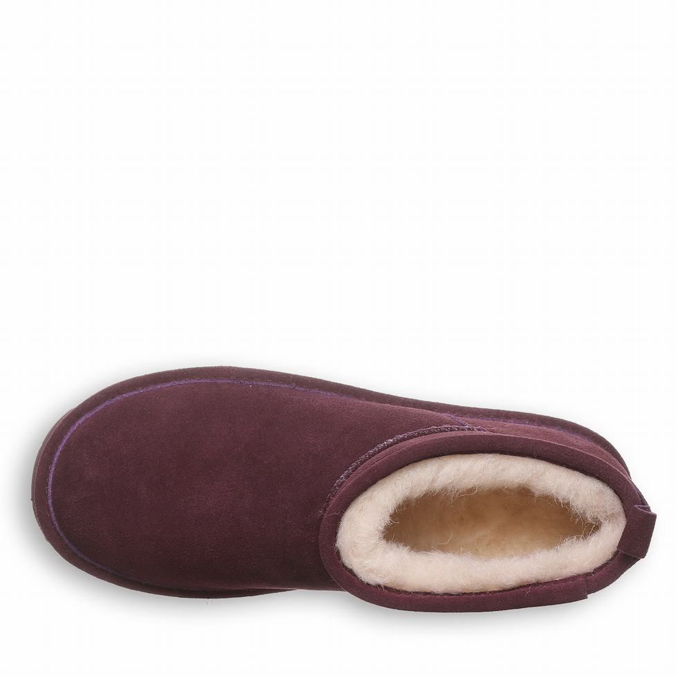 Bearpaw Super Shorty Wide ブーツ レディース 紫 | YNK8938VC