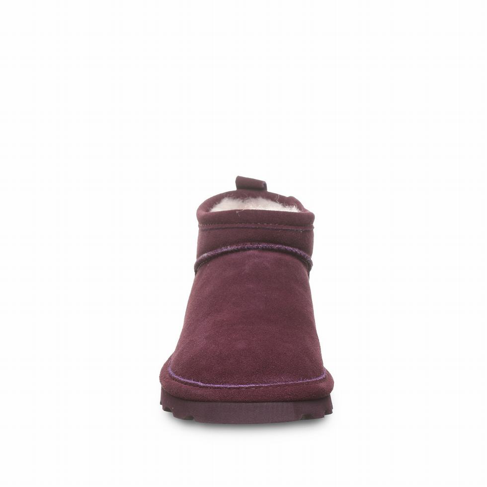 Bearpaw Super Shorty Wide ブーツ レディース 紫 | YNK8938VC