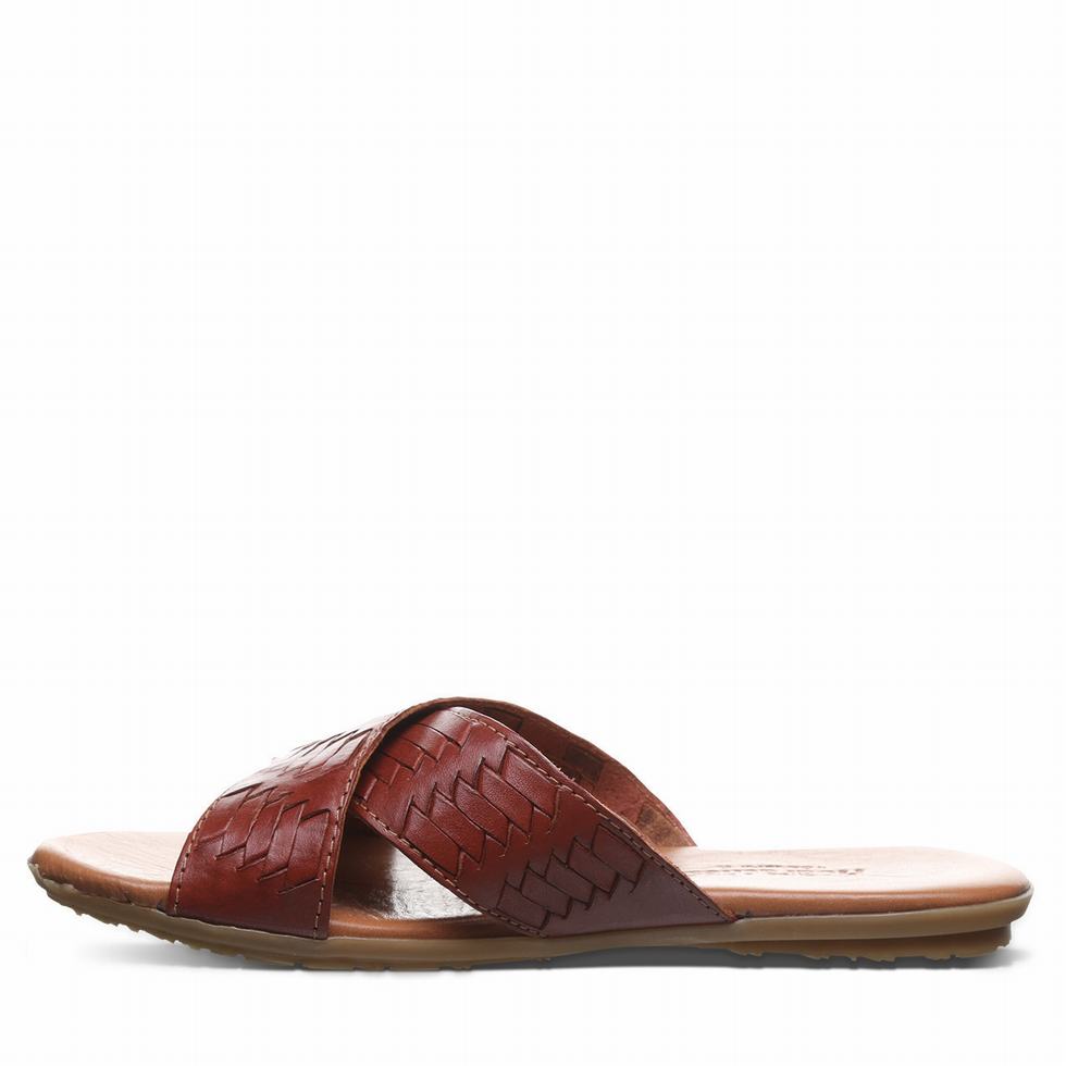 Bearpaw Ximena サンダル レディース ブラウン | DIH3874PQ