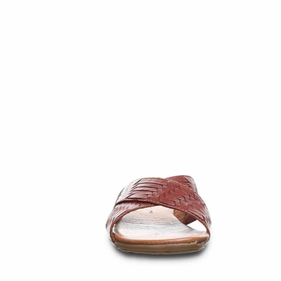 Bearpaw Ximena サンダル レディース ブラウン | DIH3874PQ