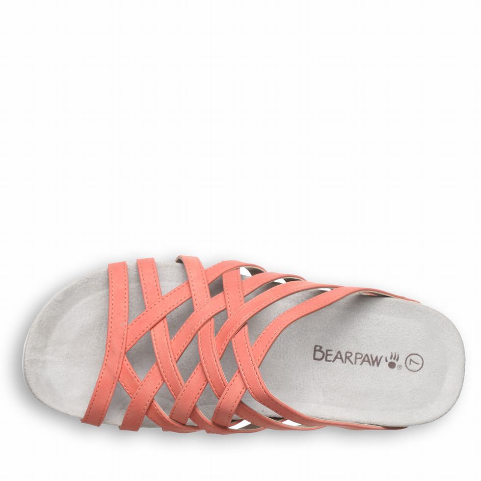 Bearpaw Zinnia サンダル レディース ピンク | UME8594BN